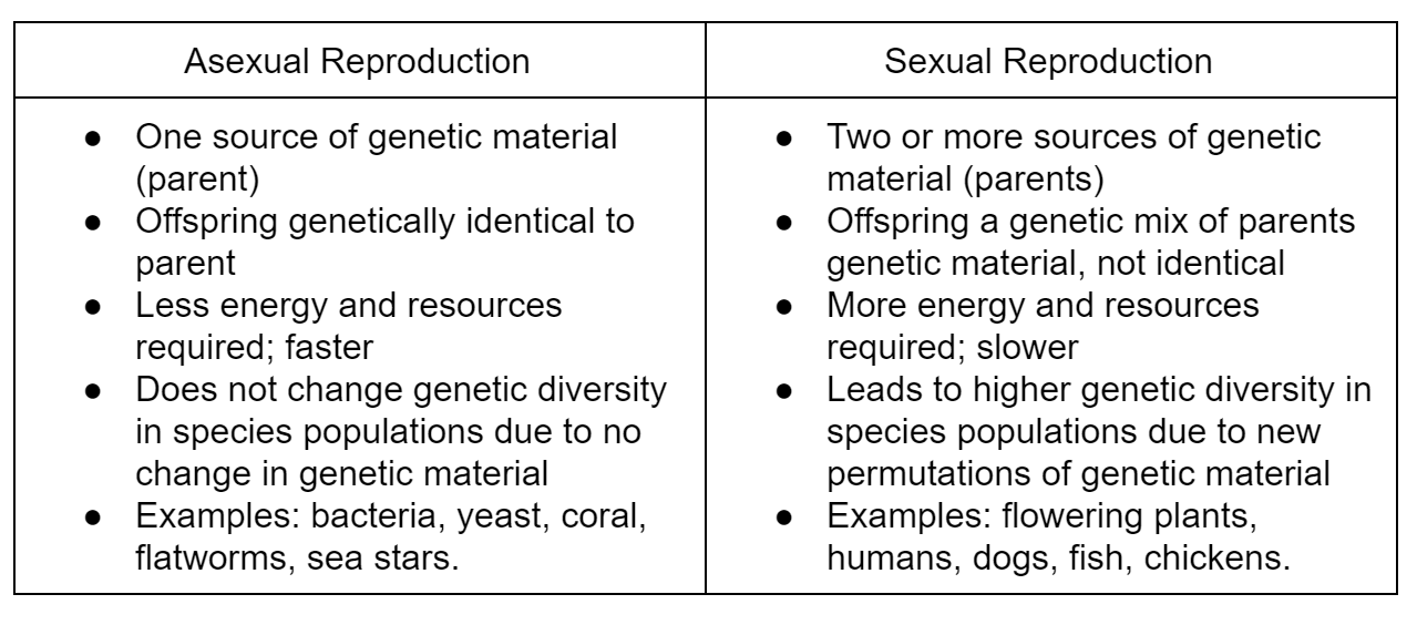 Reproduce Asexual And Sexual Expii